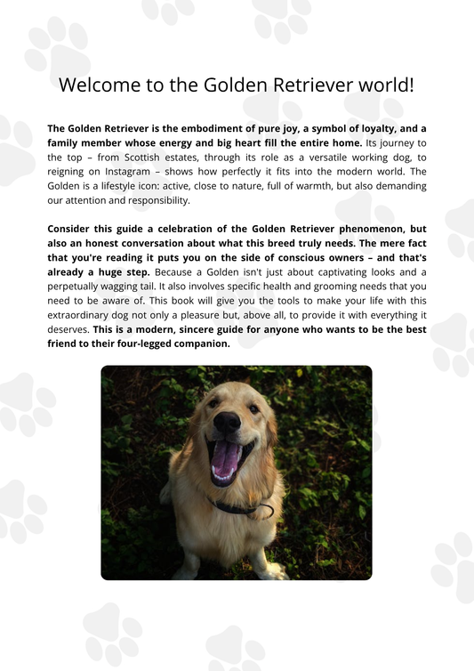 Responsible Owner of Golden Retriever