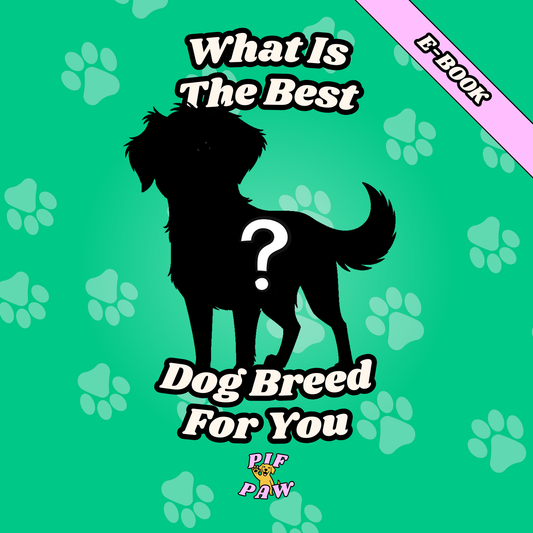 What Is The Best Dog Breed For You